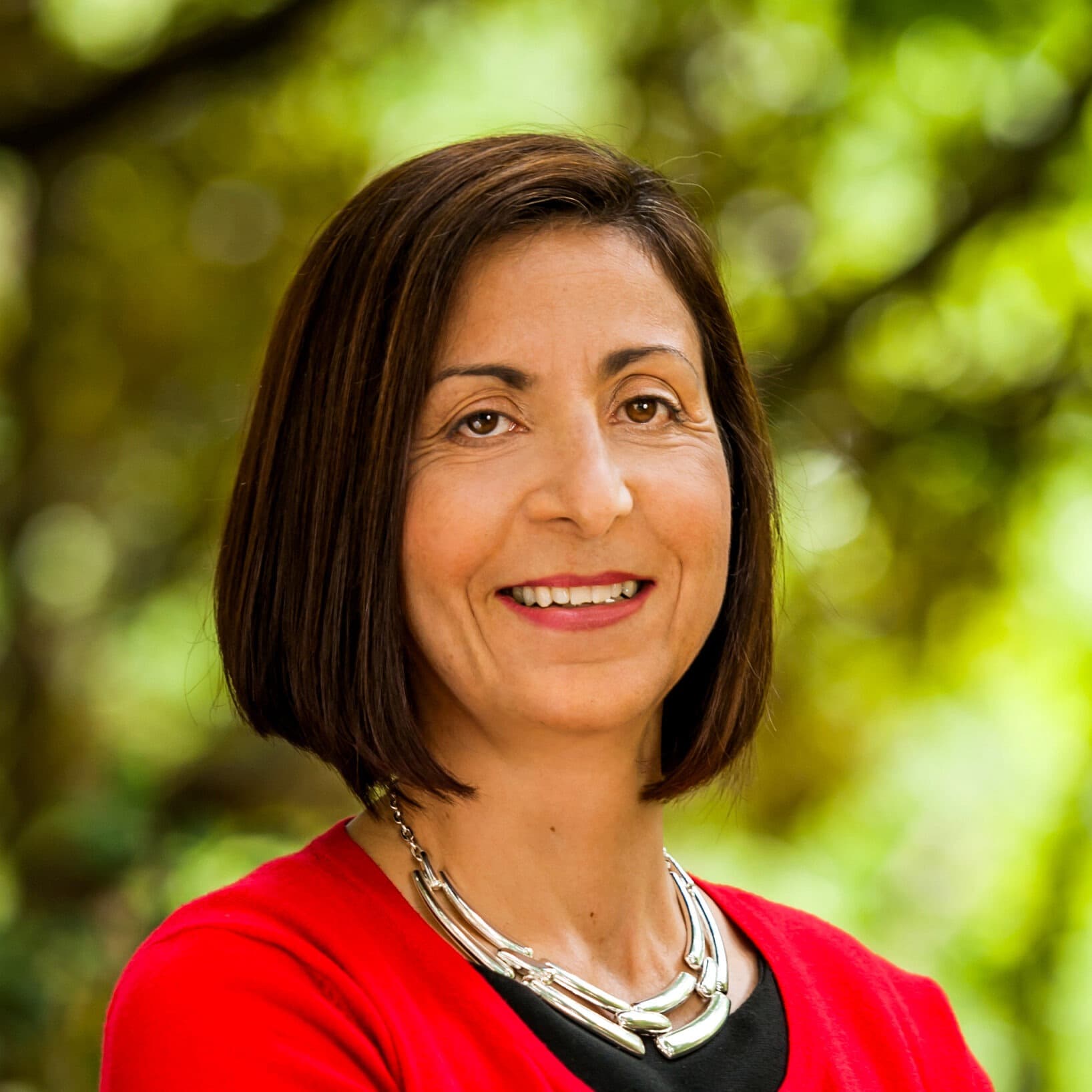 Professor Elena Karahanna